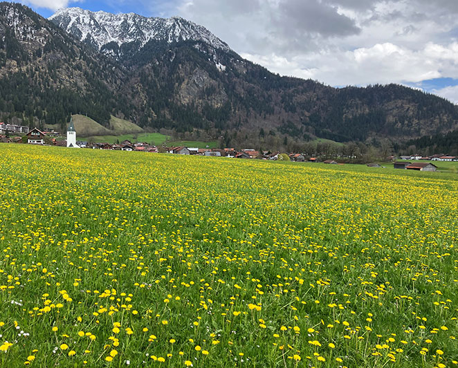 Bad Oberdorf im Frühling