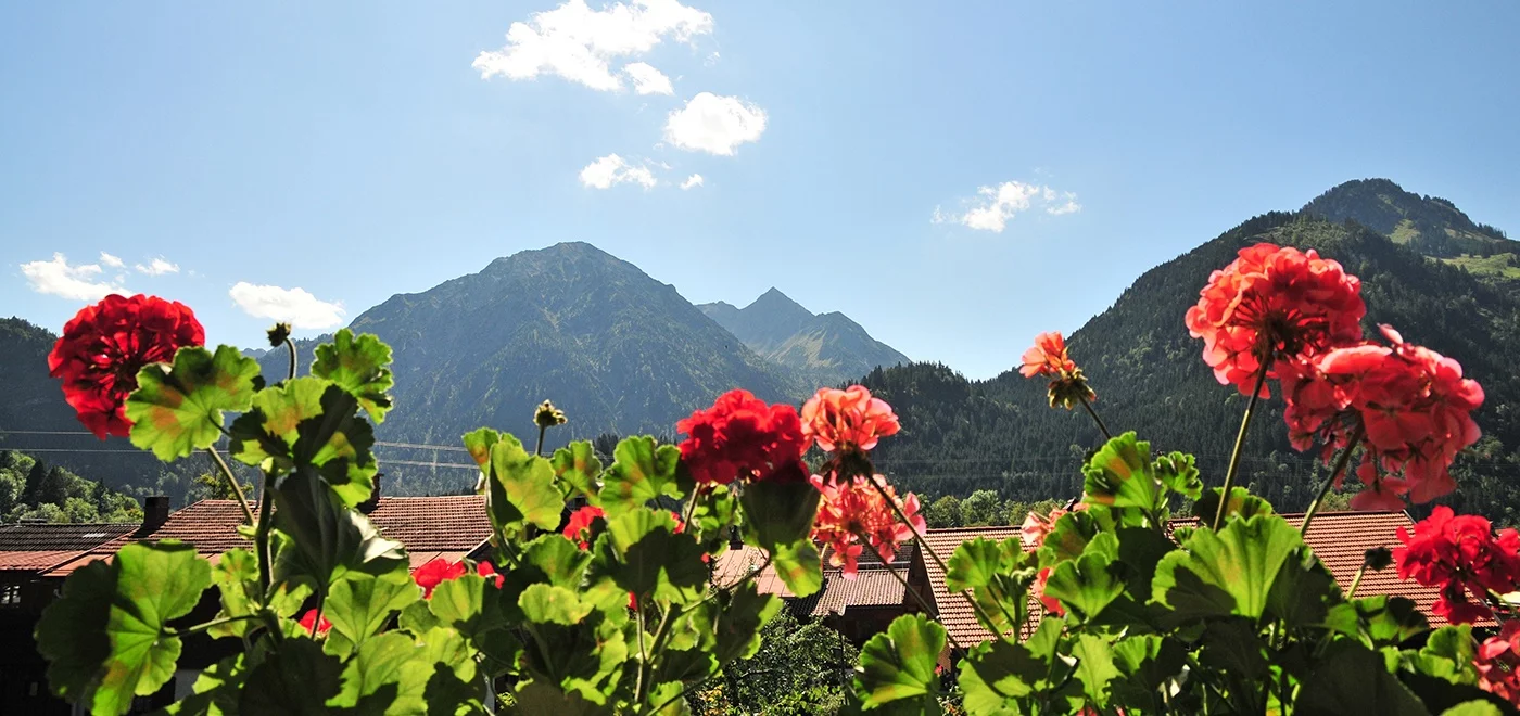 Blick vom Balkon