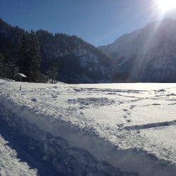 Winterwandern 