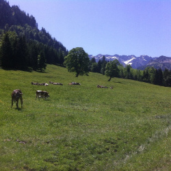 Radtour ins Retterschwangertal