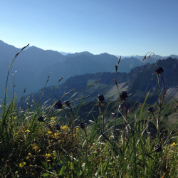 Wandern und Bergsteigen