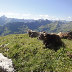 Koblat-Engeratsgundsee-Türle 02.08.2011 007.jpg