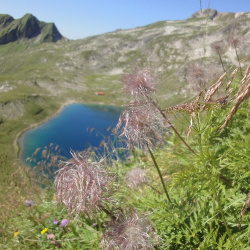 Koblat-Engeratsgundsee-Türle 02.08.2011 011.jpg