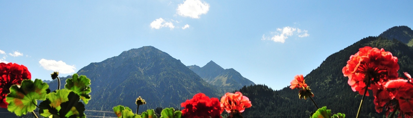 Balkon-Bergblick-03-1400x500.JPG