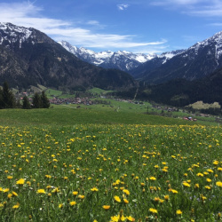 Frühjahr im Ostrachtal