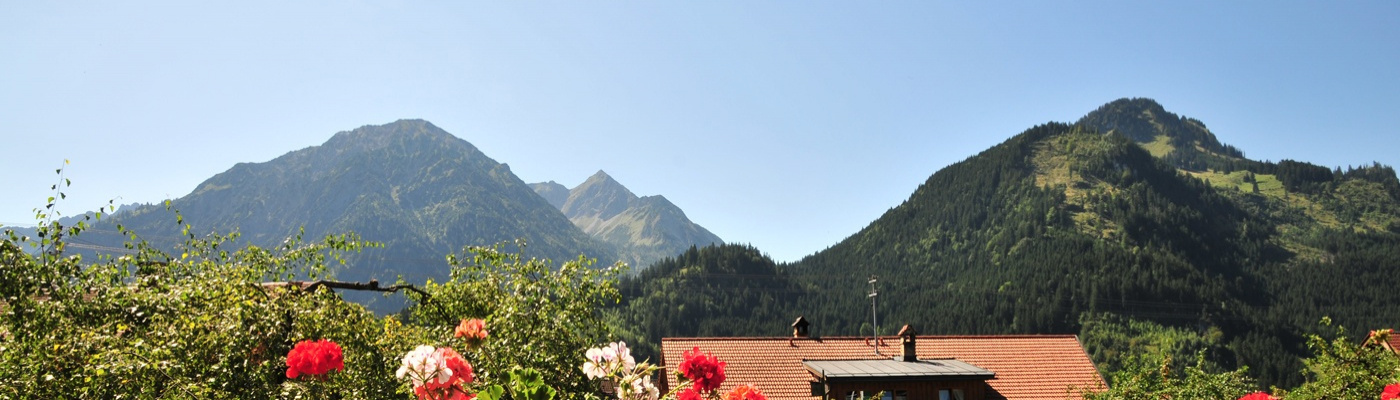 Aussicht Haus Sonnenruh Bad Oberdorf