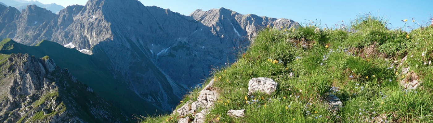 Sommerblüte in Bad Hindelang